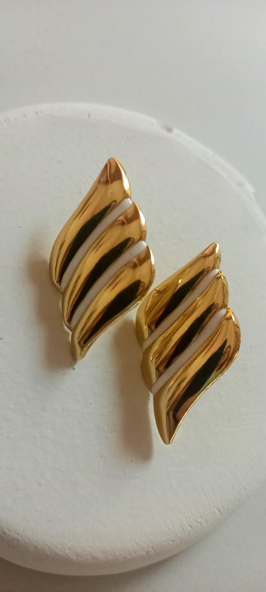 Σκουλαρίκια από ατσάλι σε διχρωμία