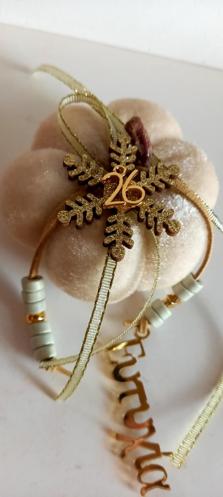 Γούρι 2026 - βελούδινη κολοκύθα