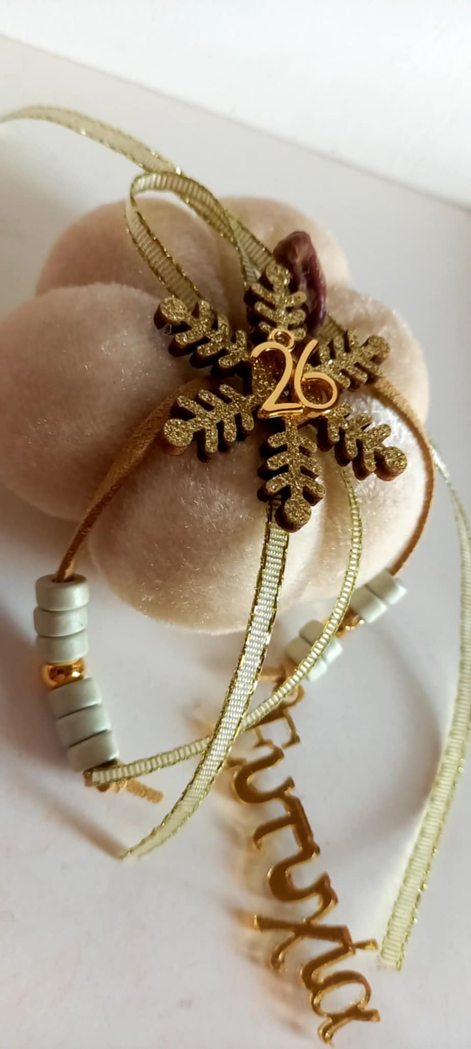 Γούρι 2026 - βελούδινη κολοκύθα