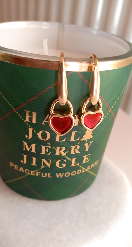 Σκουλαρίκια από ατσάλι με μοτίφ καρδιές