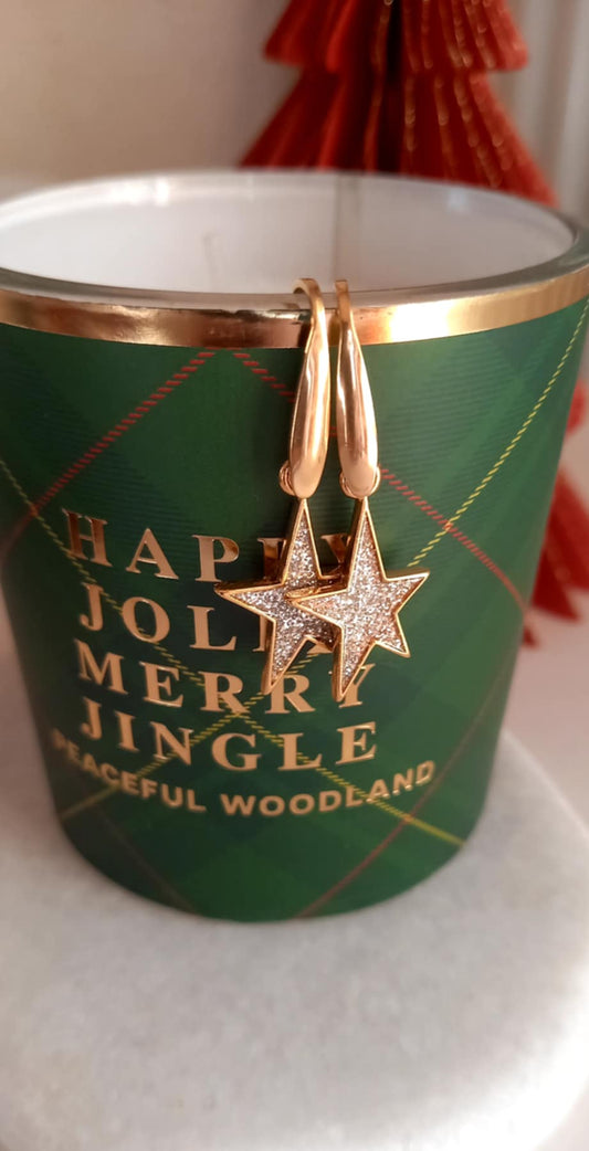 Σκουλαρίκια από ατσάλι με αστέρια