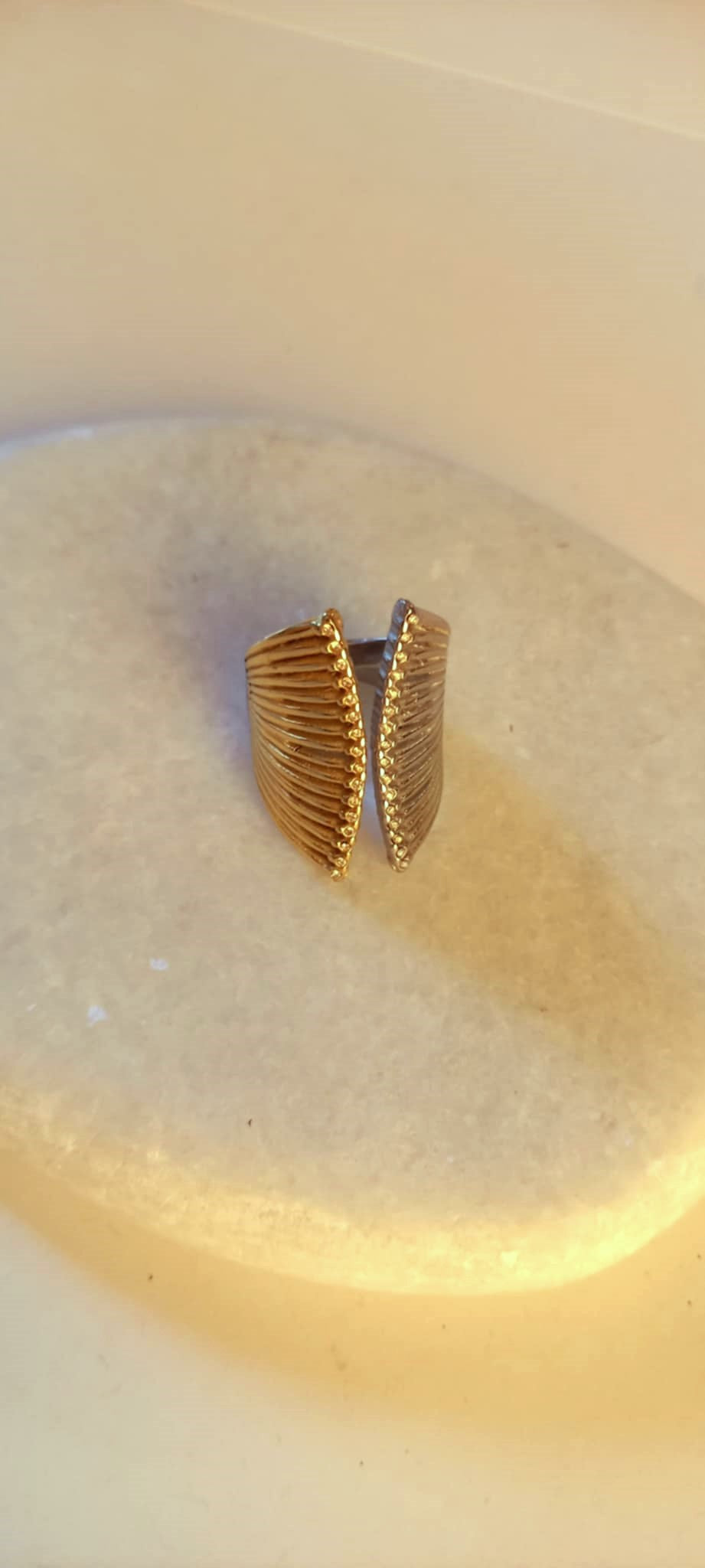 Δαχτυλίδι από ατσάλι σε διχρωμία