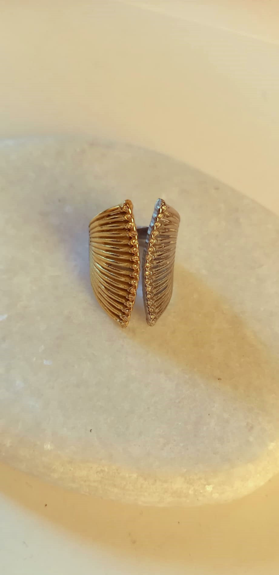 Δαχτυλίδι από ατσάλι σε διχρωμία