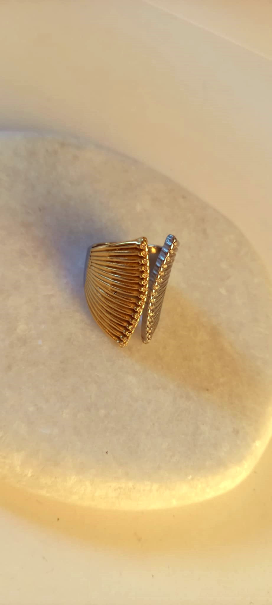 Δαχτυλίδι από ατσάλι σε διχρωμία