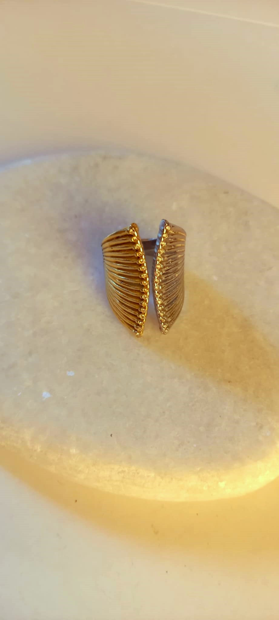 Δαχτυλίδι από ατσάλι σε διχρωμία