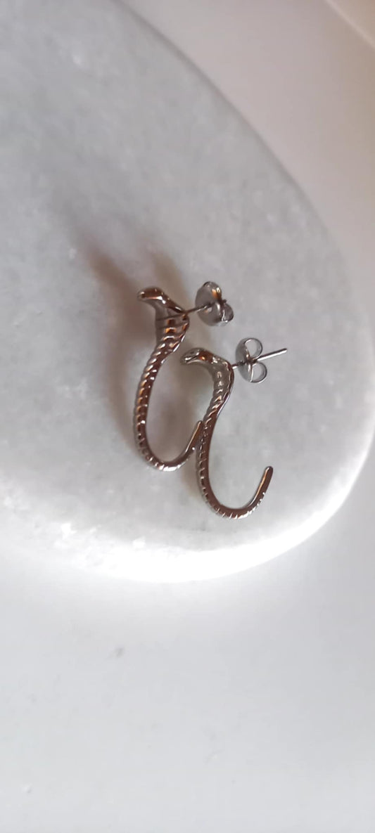 Σκουλαρίκια από ατσάλι με σχέδιο φίδι