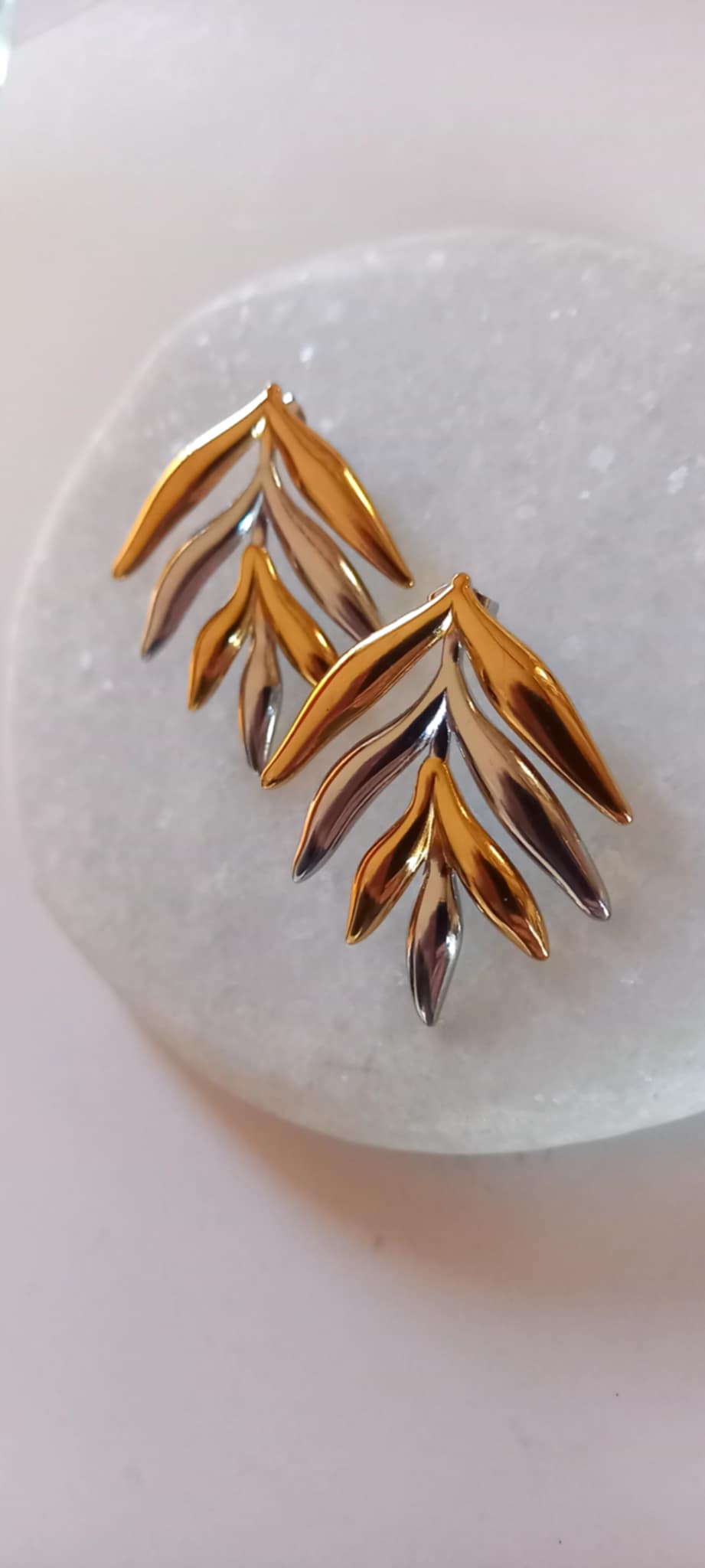 Σκουλαρίκια από ατσάλι σε διχρωμία