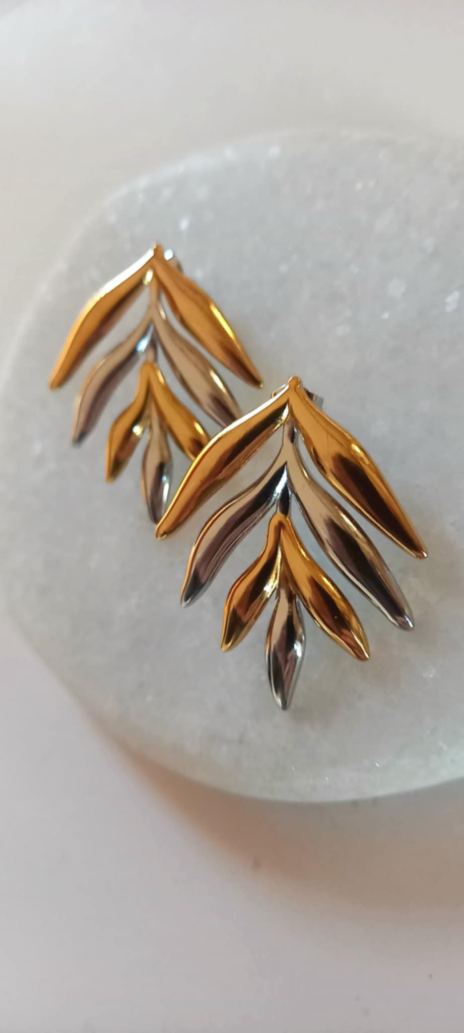 Σκουλαρίκια από ατσάλι σε διχρωμία