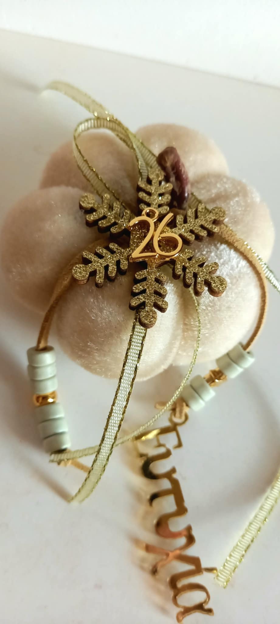 Γούρι 2026 - βελούδινη κολοκύθα