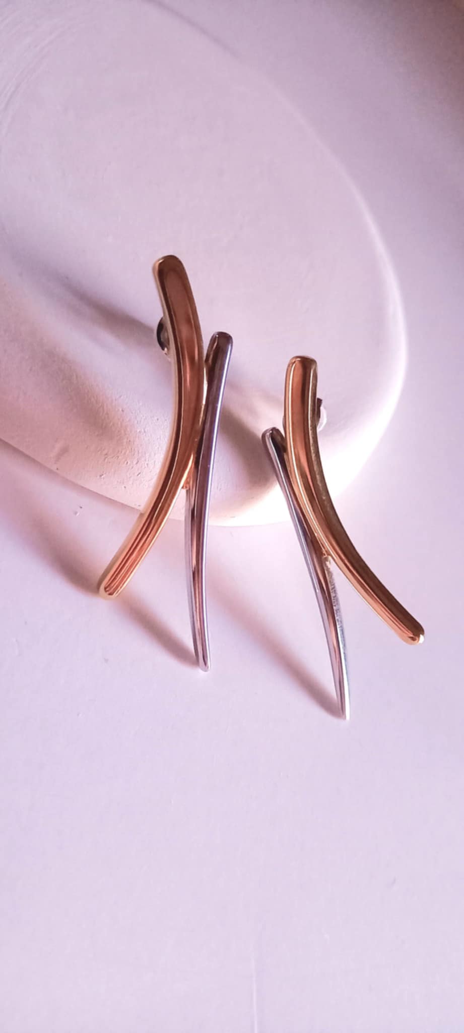 Σκουλαρίκια από ατσάλι σε διχρωμία