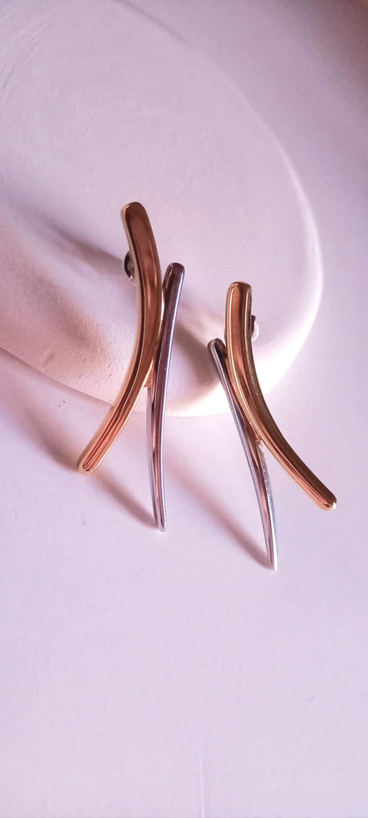 Σκουλαρίκια από ατσάλι σε διχρωμία