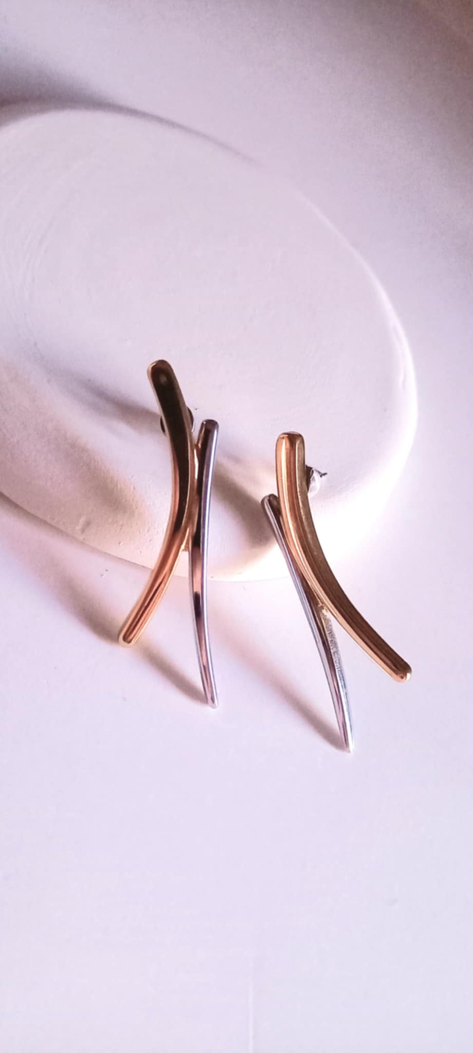 Σκουλαρίκια από ατσάλι σε διχρωμία